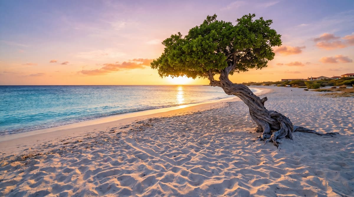 Wheelchair Accessible Aruba: The Honest Mobility Guide (2026)