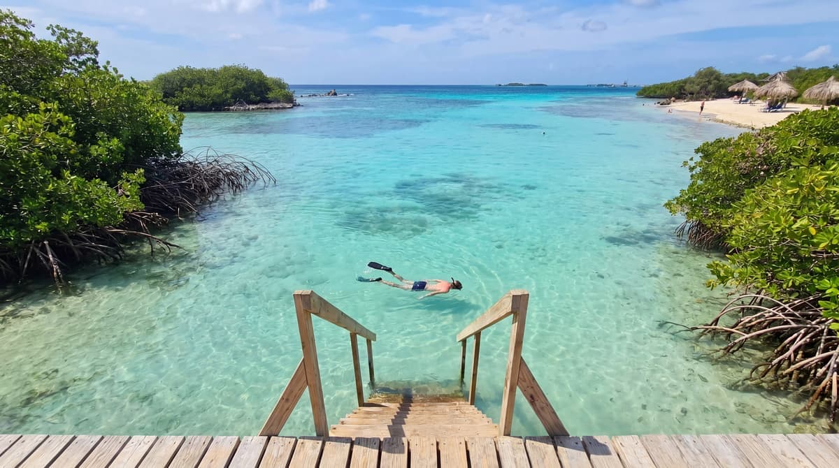 Baby Beach vs Mangel Halto: Which Aruba Snorkel Spot Fits You?
