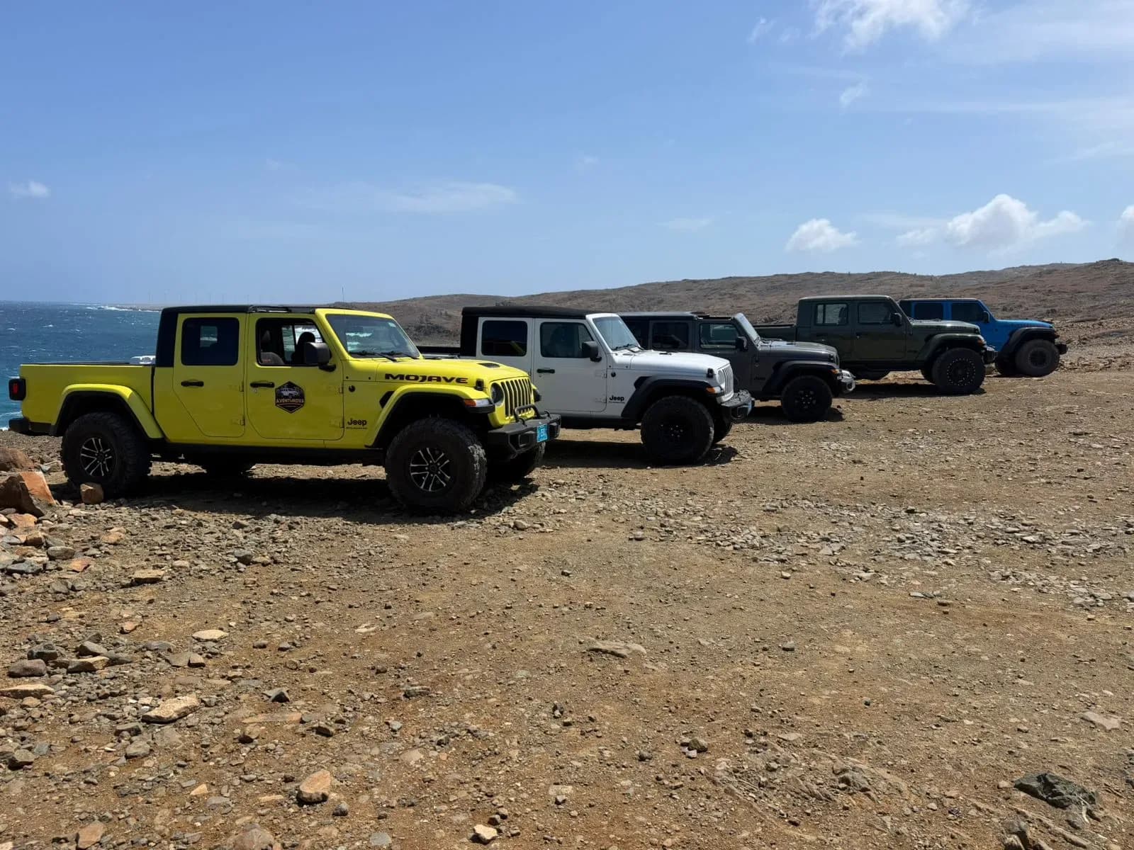 A line of Jeep Wranglers and Gladiators parked on a rocky coastal headland in Aruba