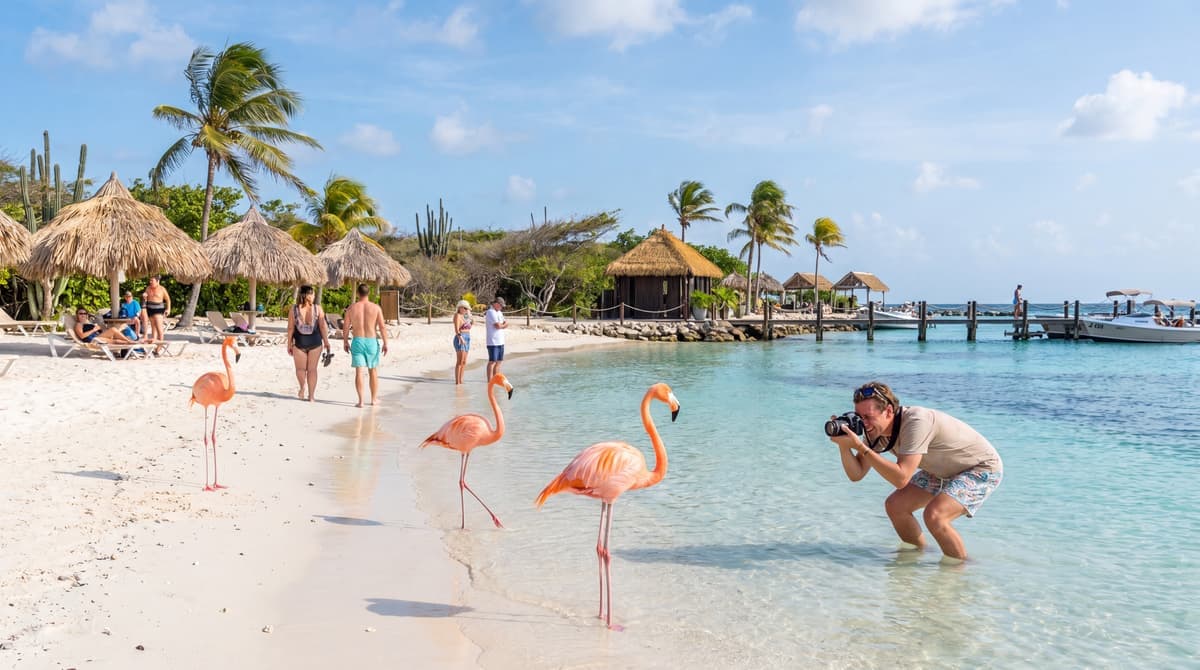Renaissance Island (Flamingo Beach)